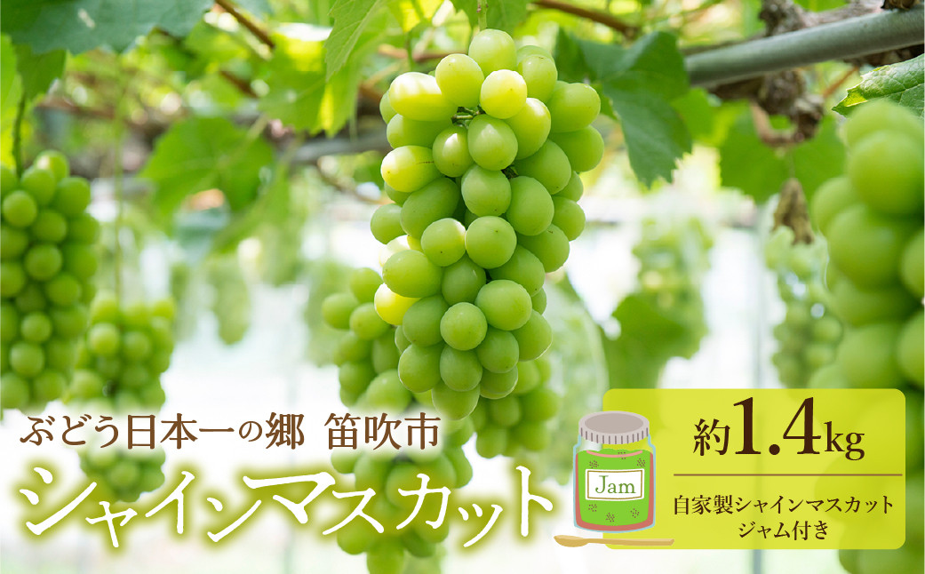 ぶどうの生産量日本一の笛吹市！