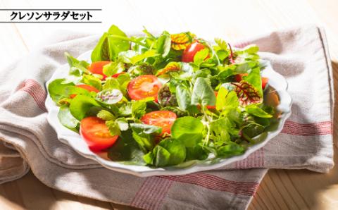 江津クレソン鍋&クレソンサラダセット 鍋2回分 サラダ1回分 ゴウツクレソン ベビーリーフ フルーツトマト まる姫ポーク ロース バラ 肩ロース かつおだしつゆ 胡麻ドレッシング 柚子醤油