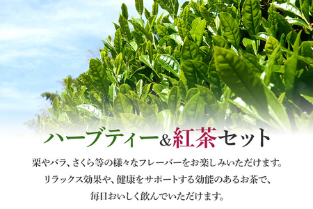 紅茶 & ハーブティー セット 生姜紅茶 ローズ紅茶 たんぽぽ茶 栗 紅茶 柿 紅茶 さくら 紅茶 さくら 緑茶 リラックス 健康茶 癒し ホットティー お茶 ハーブ フルーツティー 茨城県 石岡市 