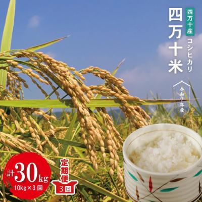 ふるさと納税 四万十市 【令和7年産・3回定期】四万十産四万十米 コシヒカリ (5kg×2袋)×3回(計30kg )R7