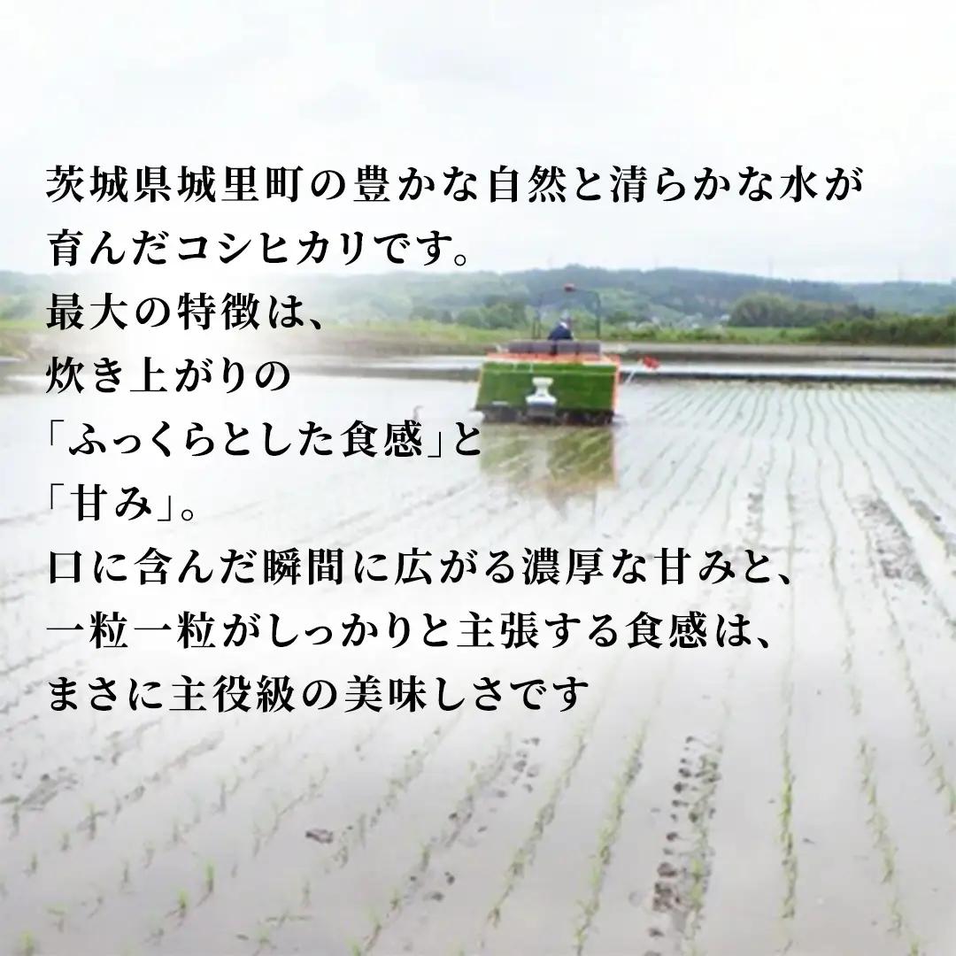 【令和8年産 新米】洗わず炊ける時短米！コシヒカリ 無洗米 5kg × 3ヶ月 定期便（9月開始） [AX081]