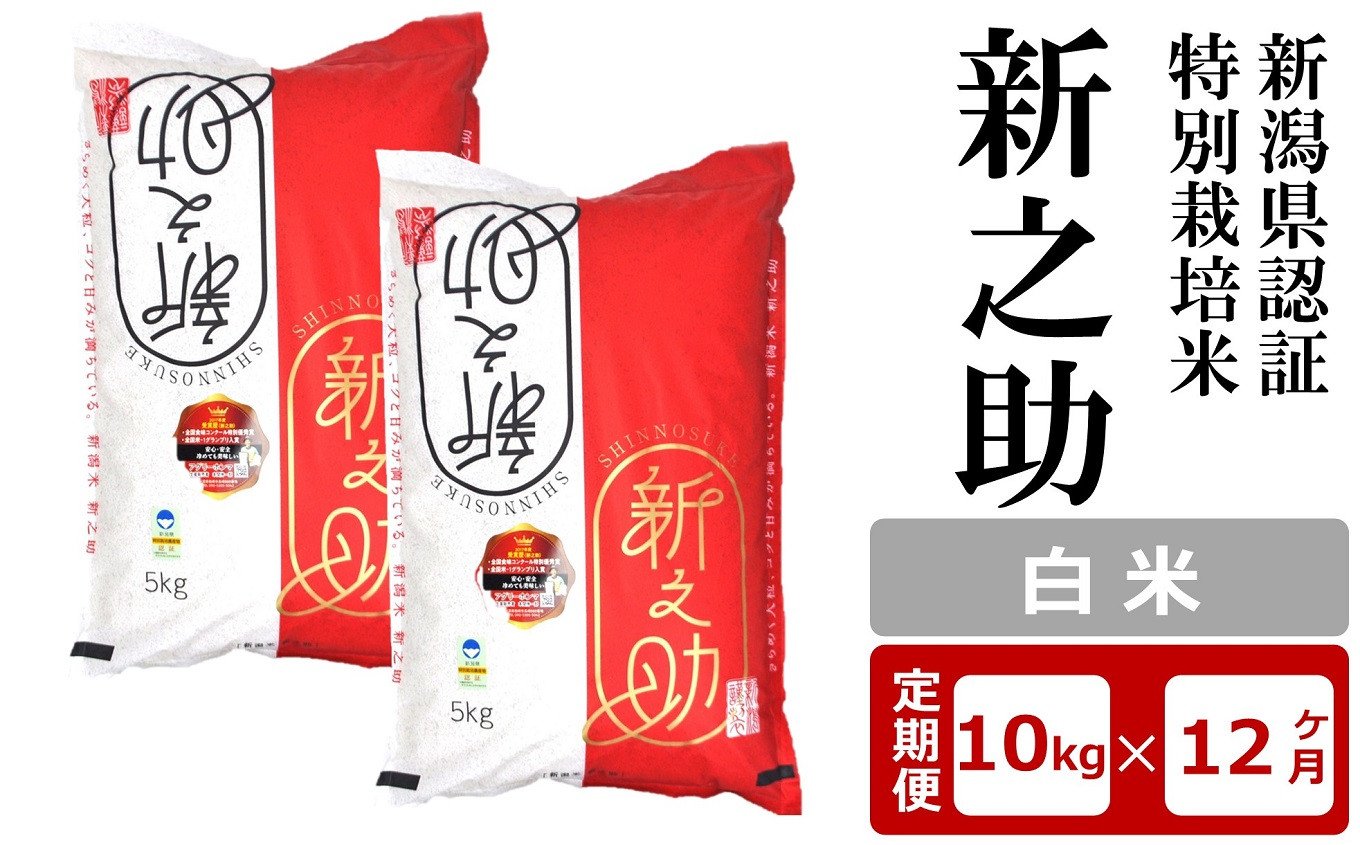 
            【12ヶ月定期便】新潟県認証特別栽培米 新之助 白米 10kg（5kg×2袋）×12回（計 120kg）アグリーホンマ[Y0376]
          