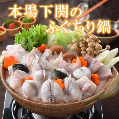 ふるさと納税 下関市 とらふぐ刺身とふぐ鍋セット(2-3人前) 冷蔵 ふぐ刺身 ふぐ鍋 FP013 |  | 01