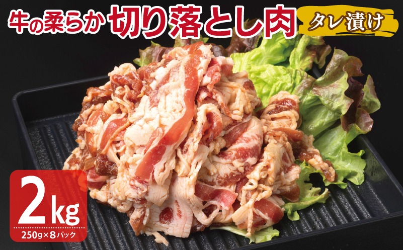 099H3386 牛肉 切り落とし タレ漬け 合計2kg【味付け 小分け 焼くだけ 簡単調理 BBQ 牛肉 250g×8袋】