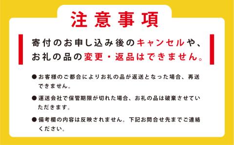 【国内消費拡大求む】<先行予約2024年11月から発送>北海道サロマ湖産　貝付きホタテ18枚　ほたて　帆立　刺身　海鮮　魚介　殻付き　貝付き　冷蔵　サロマ湖　オホーツク　おほーつく　湧別町　北海道