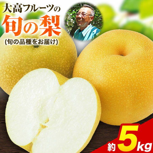 【ふるさと納税】秋 旬 梨 フルーツ 期間限定 大高フルーツの旬の梨(幸水/豊水/秋麗/あきづき/甘太/新高)　約5kg(8-16玉前後) フルーツ 秋 旬　熊本県玉名郡玉東町 《7月下旬-10月中旬頃出荷》