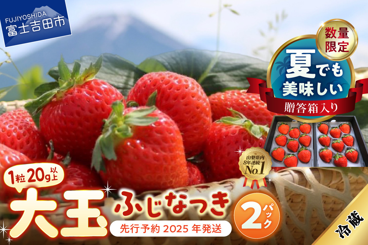 
            【期間限定】【数量限定！夏いちご】夏に食べられる至高のいちご ふじなつき(大玉セット) 数量限定 期間限定 山梨県産 いちご 果物 旬 2025年発送 ふじなつき フルーツ 山梨 富士吉田市
          