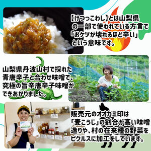 激辛国産青唐辛子味噌「けつっこわし」 【500ｇ×2本】辛くておいしい無添加合わせ味噌 【tab0223-502】