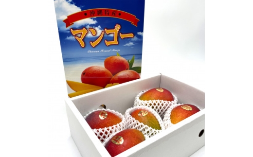 ＜2027年7月中旬より順次発送＞瀬底さんの贈答用アップルマンゴー2kg(4～5玉)【1778664】
