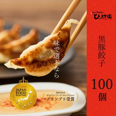 ふるさと納税 南九州市 定番のかごしま黒豚餃子100個(タレ付)