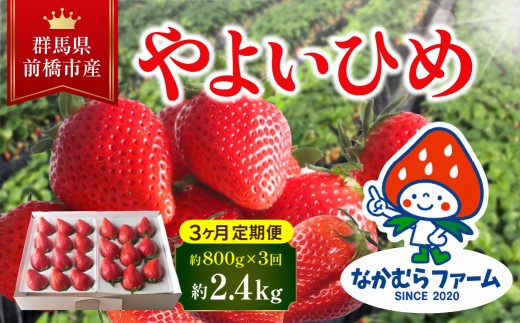 いちご　【定期便／3ヵ月連続お届け】　『やよいひめ』　約800g×3回 （総量2.4Kg）　2月発送開始　【群馬県いちご品評会入賞！】