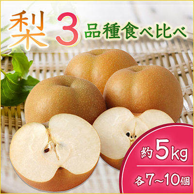 
            ＜2025年9月より順次発送予定＞梨3品種食べ比べ　各7～10個約5kg(県内共通返礼品:石岡市産) (BR049)
          