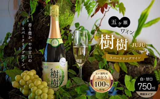 
五ヶ瀬スパークリングワイン 樹樹 -JUJU-（白・甘口・発泡タイプ）
