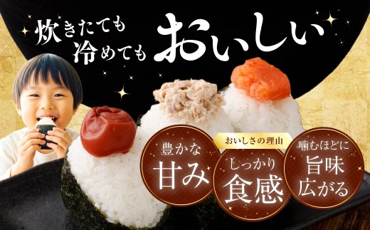 【数量限定・訳あり】【令和7年産米】新潟県村上市岩船産 コシヒカリ5kg　1029019