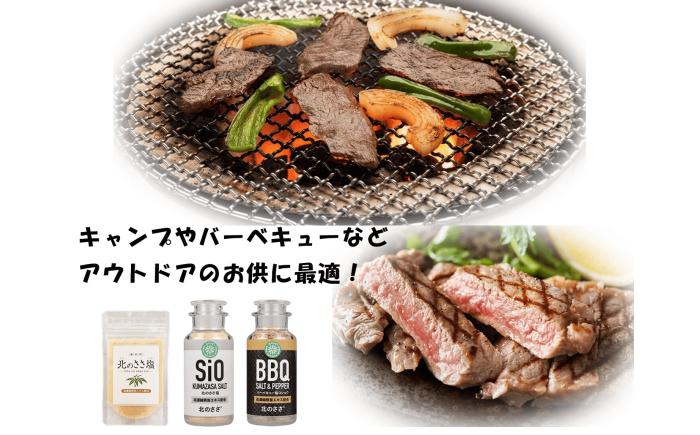 熊笹エキス10g＆北のささ塩100g《足寄町》【株式会社北のささ】熊笹 ポリフェノール 塩 しお 料理 調味料 健康 無添加 セット ギフト ミネラル 鉄分 マグネシウム ビタミン あしょろ 北海道 