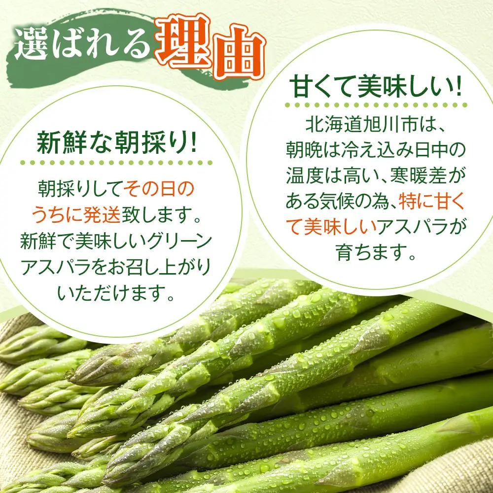 【先行予約】農家直送 朝採れ 夏グリーンアスパラ Lサイズ 1kg(500g×2袋) 北海道旭川産アスパラ (2026年7月中旬発送開始予定) _05931