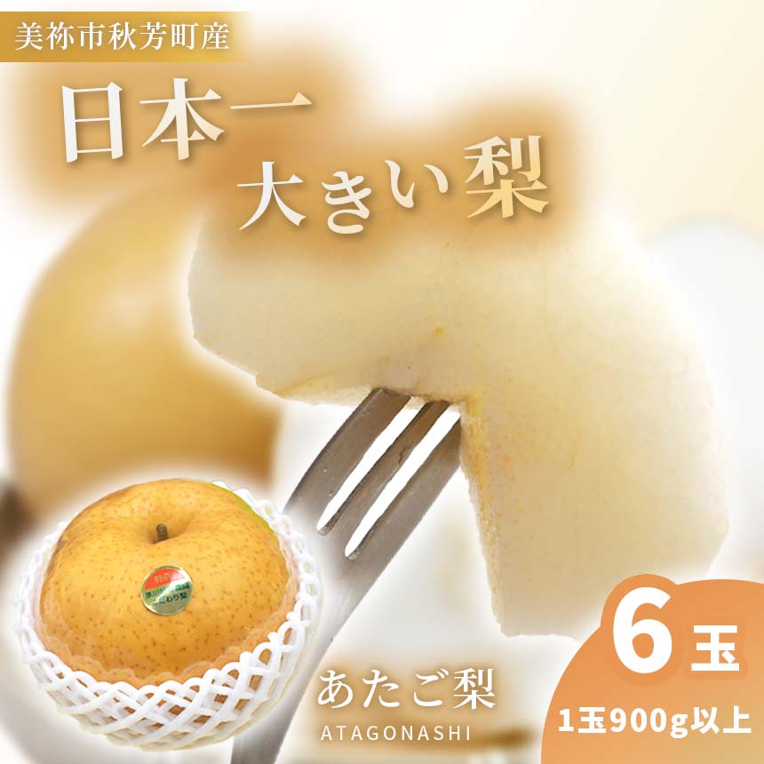 【 ふるさと納税 】【 数量限定 】 あたご梨 × 6玉（ 約5kg ） ｜ 梨 あたご なし フルーツ 果物 くだもの BIG ビッグ 大きい 特産品 美祢市 山口県 美祢 秋芳 秋芳町 カルスト台地 先行予約 期間限定 5kg