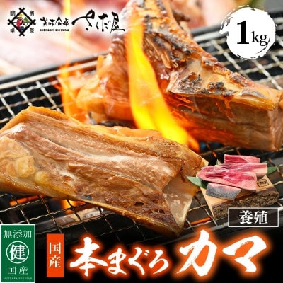 本マグロカマ1kg!!【配送不可地域：離島】【1317386】