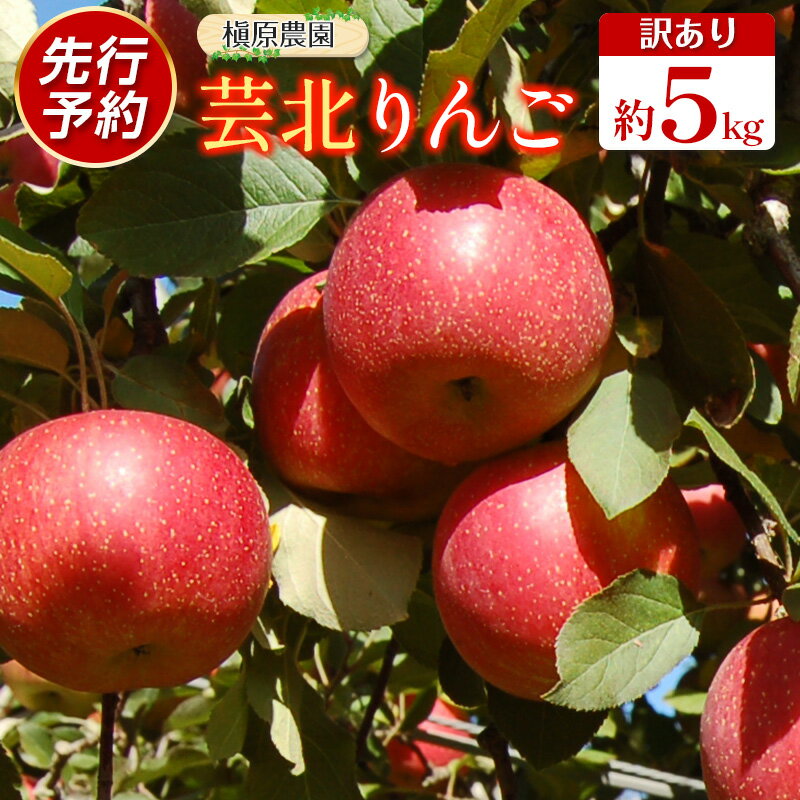 【ふるさと納税】≪10月中旬以降発送≫りんご 訳あり ご家庭用 約5kg 槇原農園の芸北りんご 農家直送 トキ 早生ふじ 千秋 シナノドルチェ シナノスイート ぐんま名月 シナノゴールド ふじ