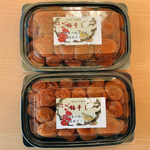 【 栃木県産 】梅干し 約600g  | 2025年産 梅 梅干し 減塩 手摘み 天然 天日干し 手作り 塩漬け  栃木県 しもつけ市 下野市