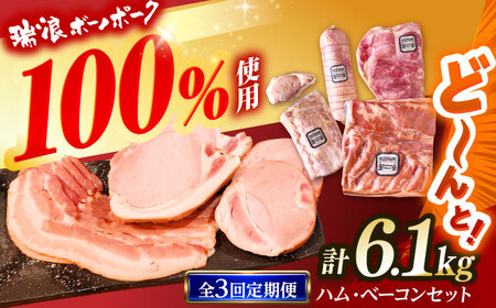 【3回定期便】 ハム・ベーコン ブロック セット 瑞浪ボーノポーク 6.1kg (冷凍) 瑞浪市 / きなぁた瑞浪 詰め合わせ ギフト[AZCI113]