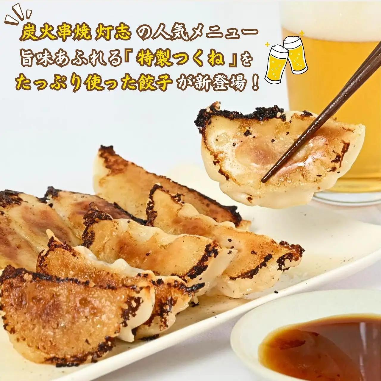 鶏つくね餃子 10個×4パック［A-084003］