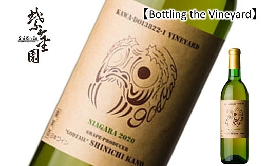 
                  【結城酒店 限定】 Bottling the Vineyard 「NIAGARA 2025 SHINICHI KANO」 720ml 『須藤ぶどう酒工場』 オレンジワイン 辛口 ライトボディ 山形県 南陽市 [2498]
                