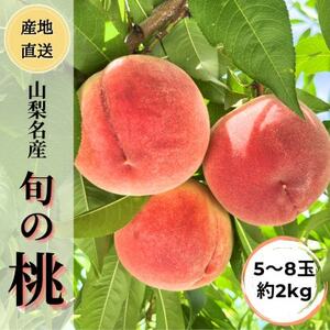 ◆2026年発送◆産地直送 桃の里よりお届け!旬の桃 5～8玉(約2kg)【配送不可地域：離島】【1678180】