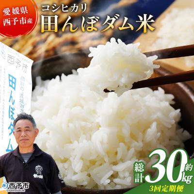 ふるさと納税 西予市  <令和7年産 愛媛県西予市産 コシヒカリ 田んぼダム米 10kg 3回定期便