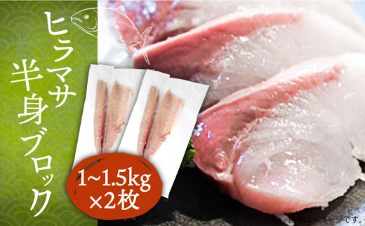 ヒラマサ フィレ 約2〜3kg（1尾）《壱岐市》【なかはら】[JDT009]