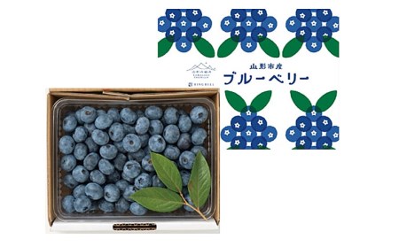 山形市産 ブルーベリー 500g FU21-606