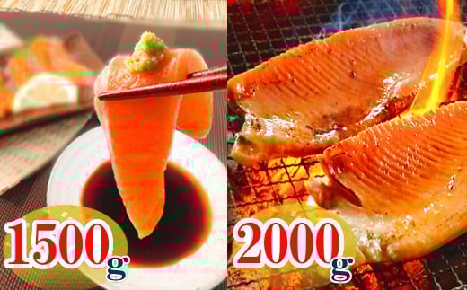 C-09004【12/14まで年内配送】 お刺身トラウトサーモン＆とろサーモンハラミセット