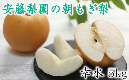 白岡　安藤梨園の朝もぎ梨　幸水　約5kg　　【11246-0053】