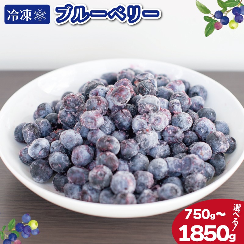 
                  冷凍 ブルーベリー 選べる容量 750g 1350g 1850g フルーツ 国産 果物 大粒 甘い 糖度 ジャム ジュース ケーキ ゼリー スムージー ヨーグルト 洋菓子 お菓子 焼菓子 おやつ デザート スイーツ ポリフェノール アントシアニン 美容 健康 ギフト 贈答 プレゼント お取り寄せ グルメ 送料無料 徳島県 阿波市 AWABlueberryファーム
                