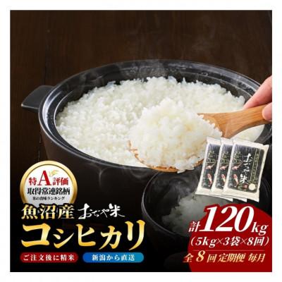ふるさと納税 小千谷市 【毎月定期便】新潟県 魚沼産 コシヒカリ 精米15kg お申込み後に精米 おぢや米全8回