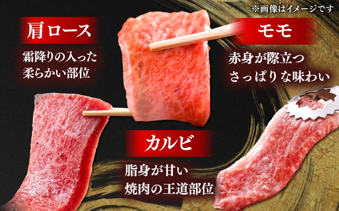 牛肉 焼肉 セット 盛り合わせ 部位 カルビ 肩ロース モモ 食べ比べ しまね和牛 島根和牛