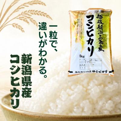 ふるさと納税 三条市 先行受付 定期便 コシヒカリ 5kg×3回 新潟県産コシヒカリ 令和8年産 【039S026】 |  | 01