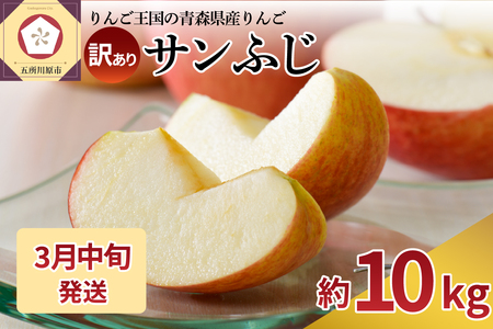 【2026年3月中旬発送】 【訳あり】 りんご 約10kg サンふじ 青森産