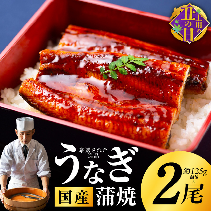 【土用の丑の日までにお届け】国産うなぎ 2尾 合計250g【高評価 特製タレ付 蒲焼 鰻 ウナギ 有頭 炭火焼き 備長炭 手焼き レンジ 温めるだけ 簡単調理】 kgp0039-1d