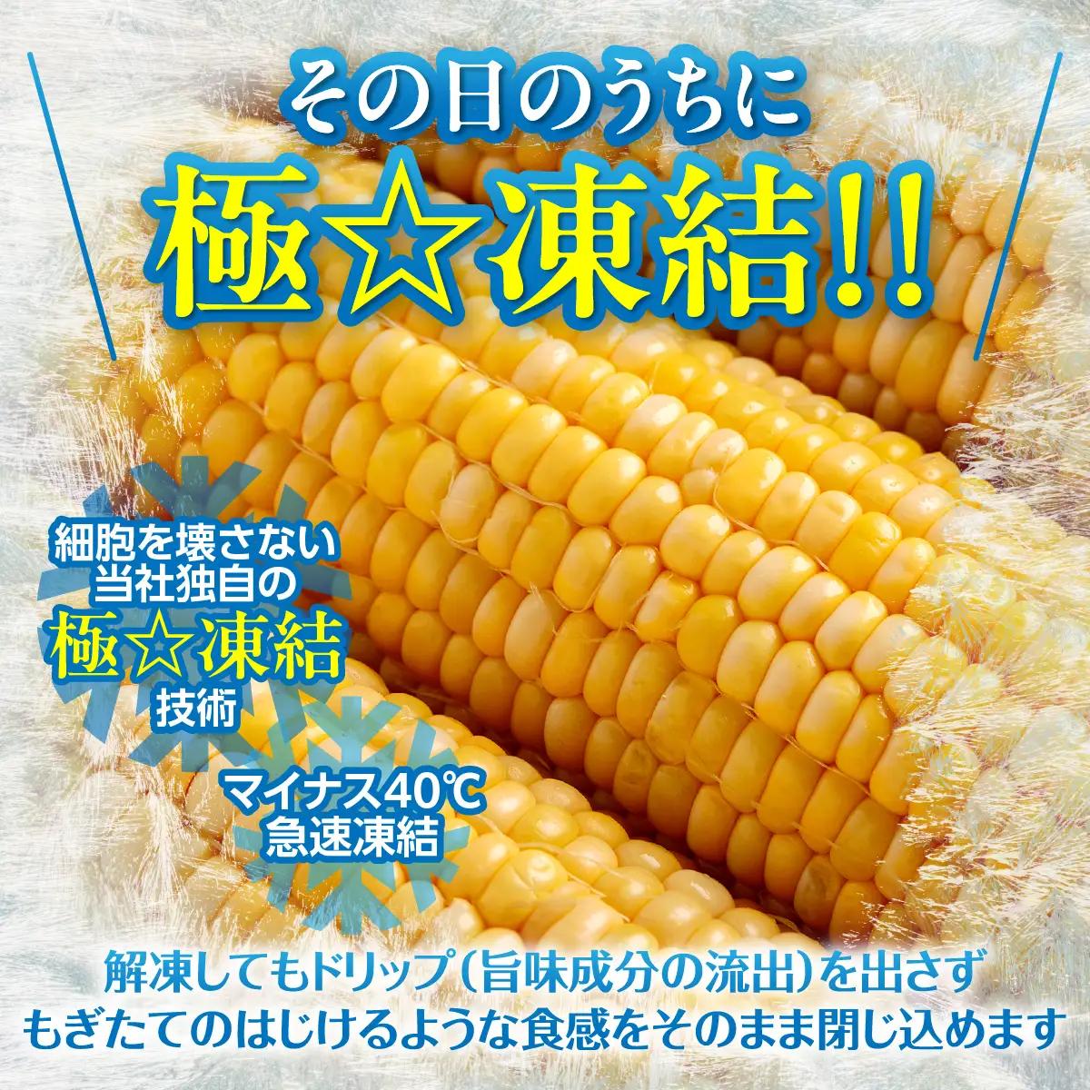 極☆凍結 北海道産スイートコーン HOKP001