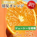 【ふるさと納税】 【ご家庭用訳アリ】紀州有田産清見オレンジ 約5kg 約7.5kg ※2025年3月下旬〜2025年4月中旬頃に順次発送予定(お届け日指定不可)