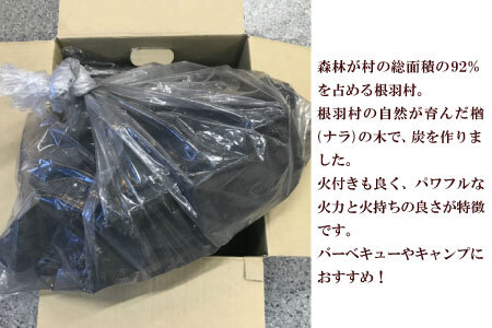 パワフルな火力と火持ちの良さ　南信州根羽産 こだわりの炭 3kg×1袋