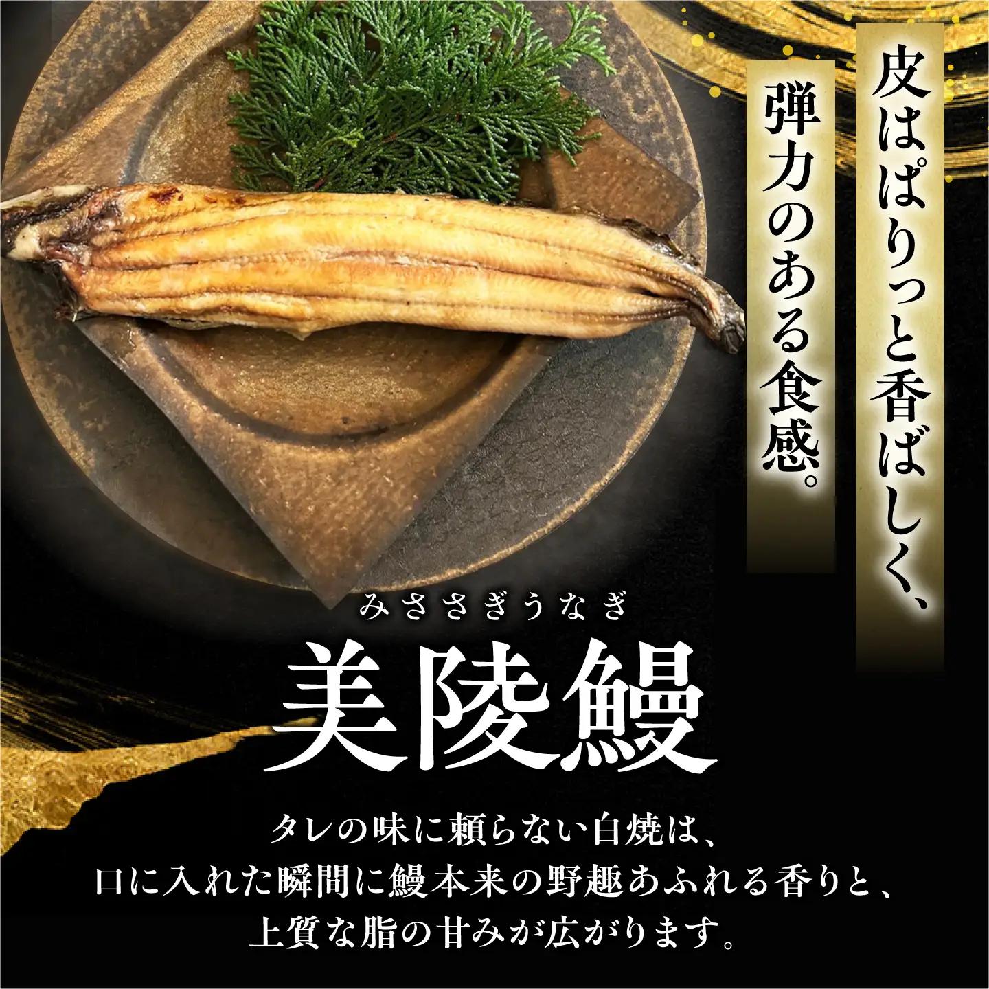 【全12回定期便】 鰻 美陵鰻の白焼 6尾 / 美陵鰻 鰻 うなぎ ウナギ 蒲焼 蒲焼き かば焼き かばやき 白焼き 白焼 肉厚 うな重 うな丼 惣菜 おかず 山椒 国産 スタミナ 土用 丑の日 ギフ