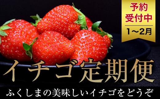 
No.1434いちご定期便福島の朝摘み とちおとめ4P【全2回】【2025年発送　先行予約】
