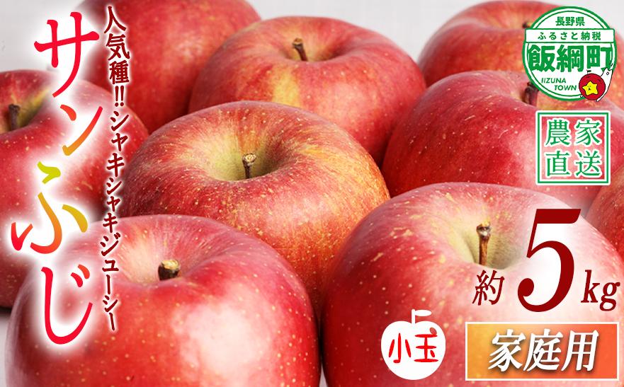 
                  りんご サンふじ ( 小玉 ) 家庭用 5kg 中村ファーム 沖縄県への配送不可 2026年11月下旬頃から2026年3月上旬頃までお申込み順に発送予定 令和8年度収穫分 長野県 飯綱町 [0863]
                