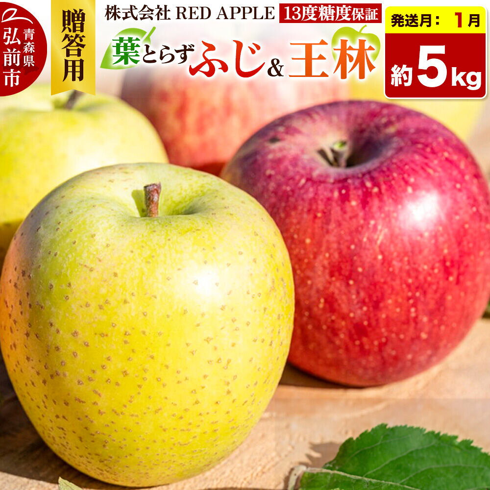 【ふるさと納税】【27年1月上旬〜発送】りんご 13度糖度保証【贈答用】葉とらずふじ＆王林 約5kg 先行受付 [アップル おいしい お歳暮 お中元 ギフト ふじ プレゼント りんご 王林 黄色 果実 果物 赤色 贈り物 贈答用 糖度 美味 葉っぱ]