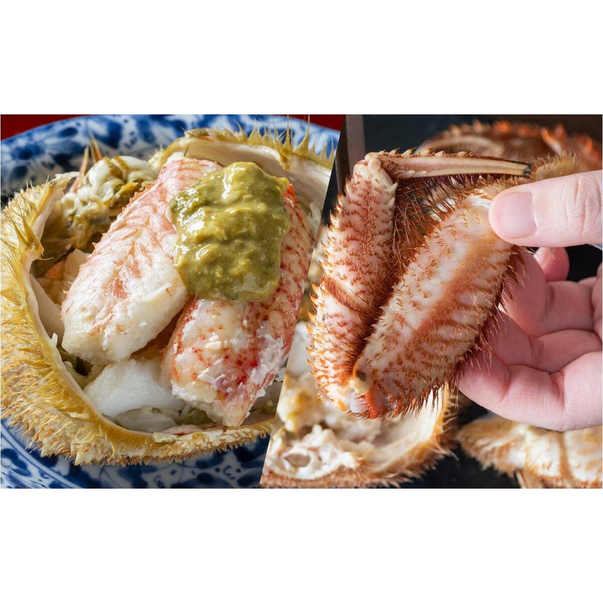 ＜12月から順次発送＞【 定期便 4回 】 北海道産 海の幸 定期便 いくら 500ｇ ( 250 ｇ × 2 パック ) 毛がに 2尾 活きホッキ貝 20個 サクラマス まるごと 1尾 北海道 新ひ
