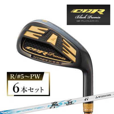 ふるさと納税 淡路市 CBRブラックプレミアアイアン 6本セット ワークテック飛匠 (R/#5〜PW)　at10013