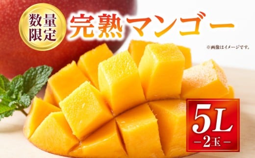 《2026年発送先行予約》【数量・期間限定】完熟マンゴー 5Lサイズ 2玉_M354-002-07