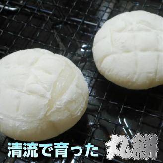 丸餅約500g(12個)1個約40g～45g【無添加】【つき餅】お祝い お供え 自宅用 ※着日指定不可 ※離島への配送不可